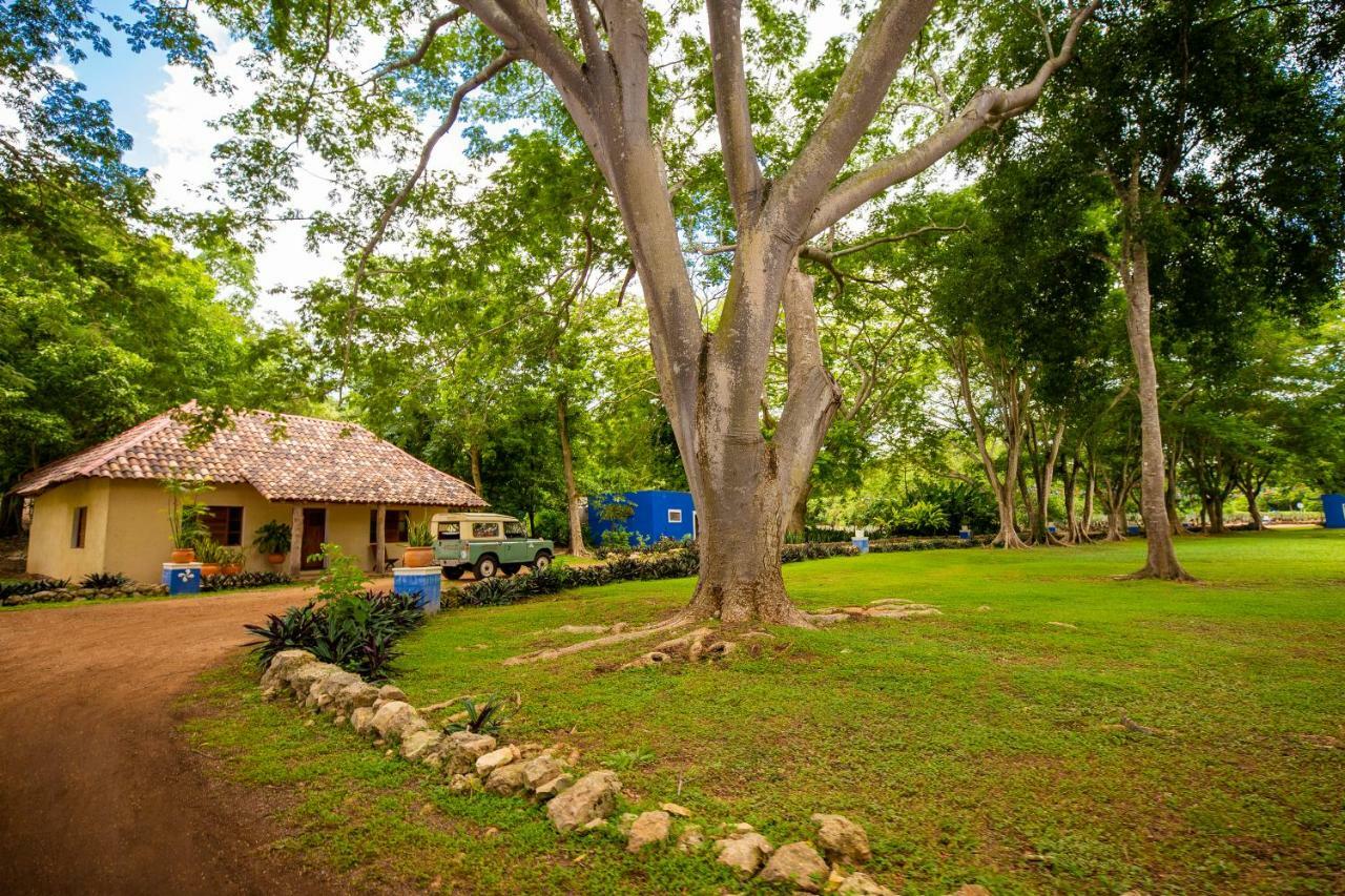 La Casa Del Mago Bed & Breakfast Uxmal Exterior photo